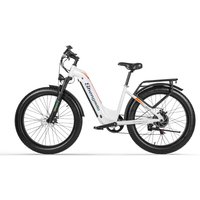 Shengmilo MX06 Electric Mountain Bike