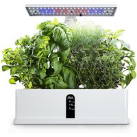 Smart Hydroponics Indoor Herb Garden