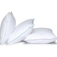 Anti-Allergy Bounce Back Pillows