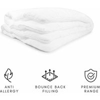 Anti-Allergy 13.5 Tog Duvet